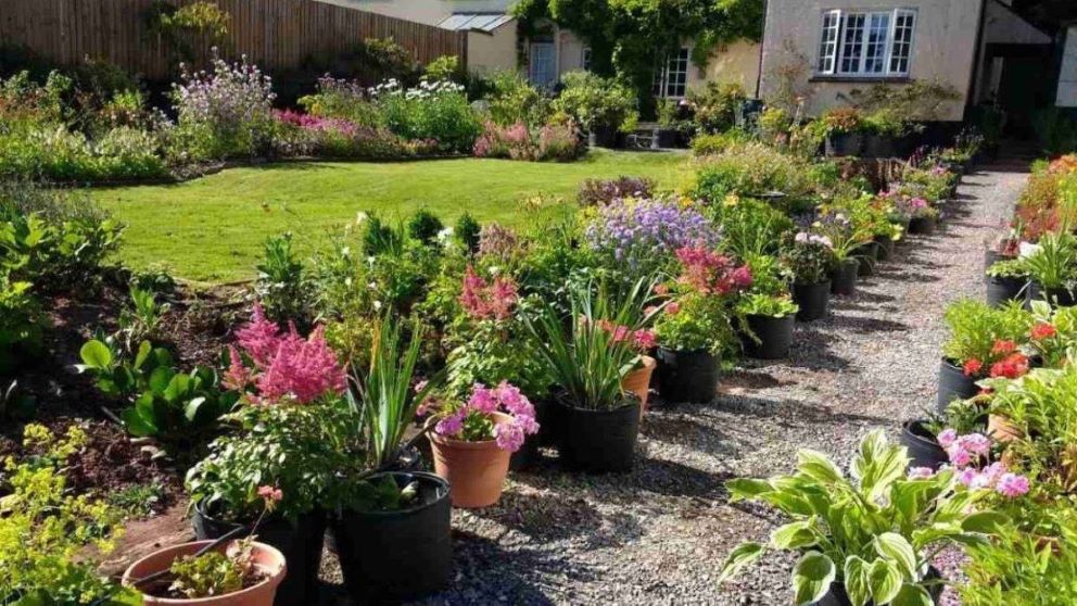 Brambles Bed and Breakfast Border Path