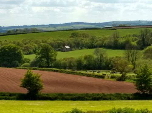 view over fields to distand hills